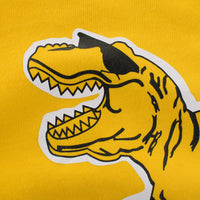 MOF Kids sweatshirts toddler sweatsuit yellow green dinosaur print